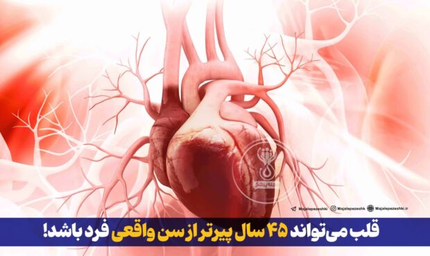 قلب میتواند ۴۵ سال پیرتر از سن واقعی فرد باشد! قلب میتواند ۴۵ سال پیرتر از سن واقعی فرد باشد!