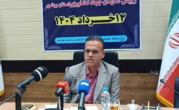 ۸۰ هزار هکتار گندم دیم در بوشهر خسارت دید / تولید ۲۰۰ هزار تن خرما در سال ۸۰ هزار هکتار گندم دیم در بوشهر خسارت دید / تولید ۲۰۰ هزار تن خرما در سال
