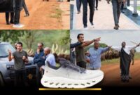 تیپ جالب امیر قطر در آفریقا/ مدل گوشی و کتونی های شیخ تمیم جنجالی شد تیپ جالب امیر قطر در آفریقا/ مدل گوشی و کتونی های شیخ تمیم جنجالی شد