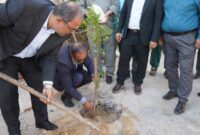 آغاز طرح «محله سبز» با کاشت ۳۰۰۰ اصله نهال مثمر در بوشهر/فرماندار بوشهر: نگاه راهبردی به محیط زیست، شرط اساسی توسعه پایدار شهرستان بوشهر آغاز طرح «محله سبز» با کاشت ۳۰۰۰ اصله نهال مثمر در بوشهر/فرماندار بوشهر: نگاه راهبردی به محیط زیست، شرط اساسی توسعه پایدار شهرستان بوشهر