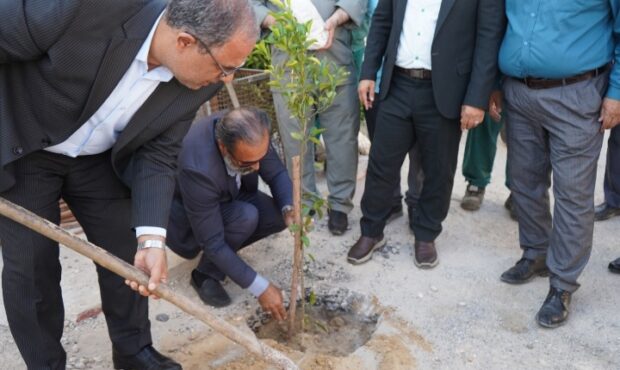 آغاز طرح «محله سبز» با کاشت ۳۰۰۰ اصله نهال مثمر در بوشهر/فرماندار بوشهر: نگاه راهبردی به محیط زیست، شرط اساسی توسعه پایدار شهرستان بوشهر آغاز طرح «محله سبز» با کاشت ۳۰۰۰ اصله نهال مثمر در بوشهر/فرماندار بوشهر: نگاه راهبردی به محیط زیست، شرط اساسی توسعه پایدار شهرستان بوشهر