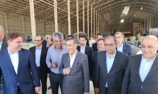 بازدید معاون اجرایی رئیس‌جمهور از طرح بزرگ تولید MDF در شهرک صنعتی بوشهر۲