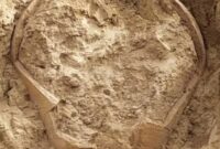 کوزهای که تاریخ بوشهر را دوباره به رخ کشید کوزهای که تاریخ بوشهر را دوباره به رخ کشید