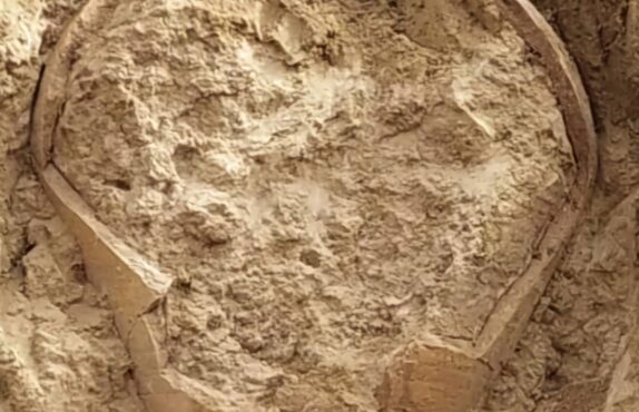 کوزه‌ای که تاریخ بوشهر را دوباره به رخ کشید