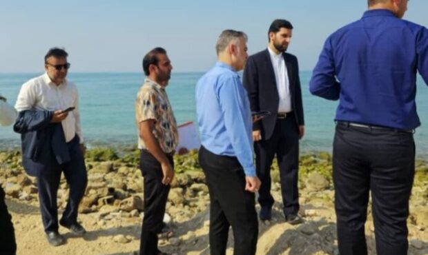هشدار دادستان کنگان به متصرفان حریم دریا در «شیرینو»